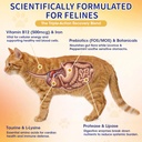 cat-appetite-stimulant-weight-gainer-liq-5.jpg