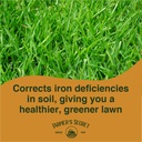farmer-s-secret-liquid-iron-for-lawns-an-4.jpg