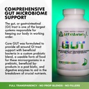 core-nutritionals-lifeline-gut-supplemen-4.jpg
