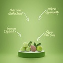 garden-of-nutrition-herbal-and-ayurvedic-2.jpg