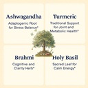 sun-vitals-adaptogen-complex-ashwagandha-4.jpg
