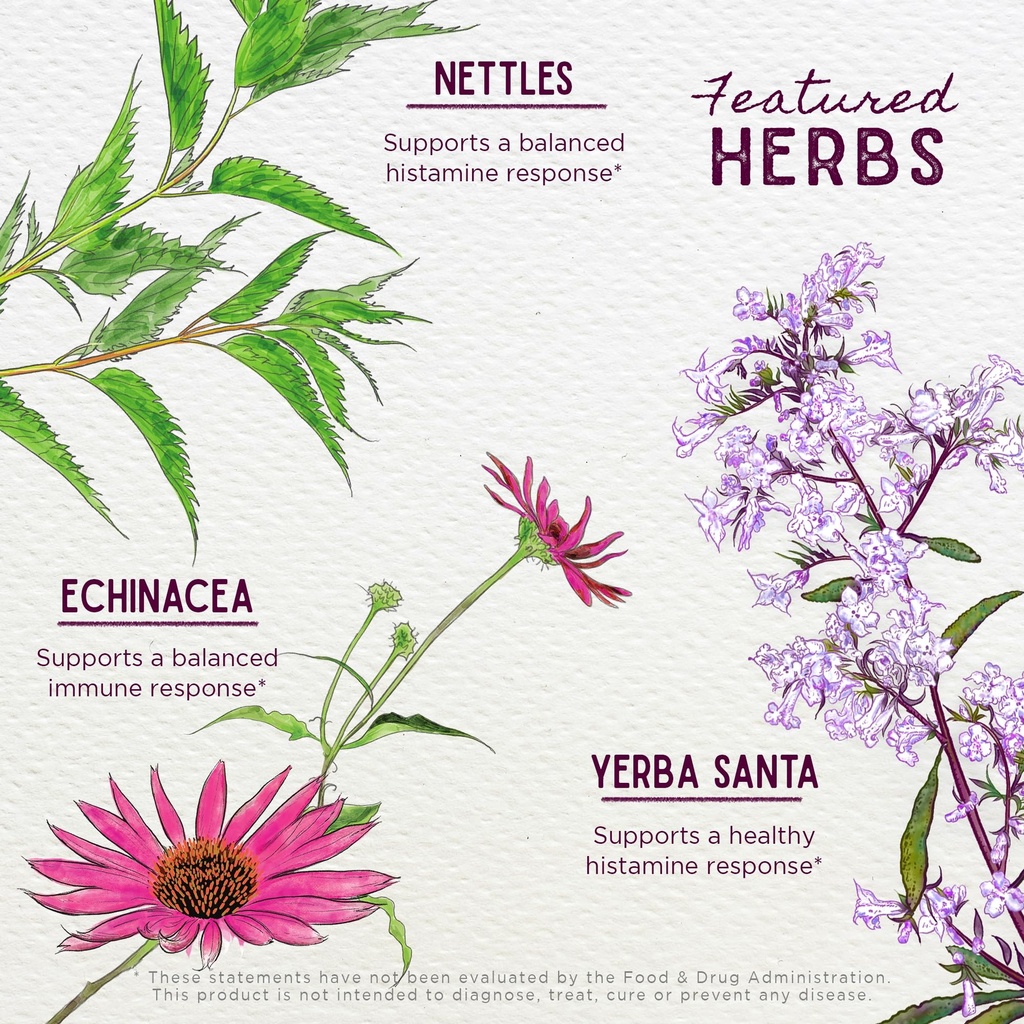 wishgarden-herbs-kick-it-allergy-for-kid-4.jpg