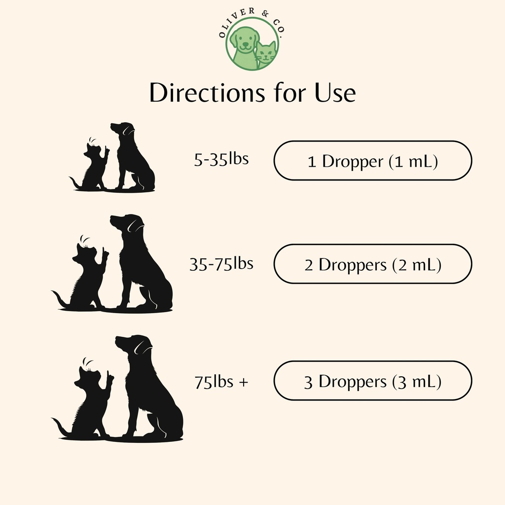dog-cat-sneezing-treatment-helps-to-supp-3.jpg