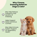 dog-cat-sneezing-treatment-helps-to-supp-4.jpg