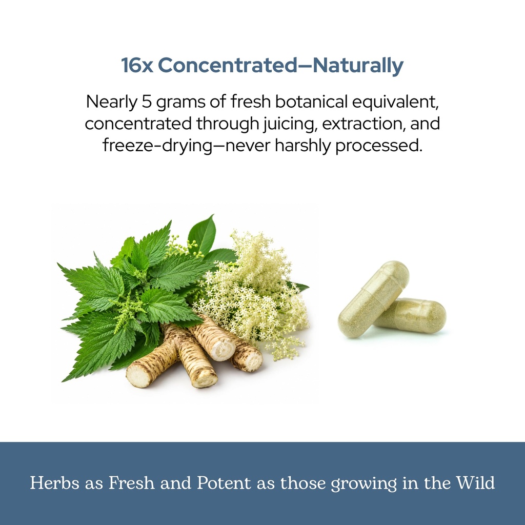 eclectic-herb-sinus-support-capsules-sin-6.jpg