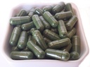 marine-phytoplankton-powder-capsules-raw-2.jpg