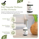 vascular-support-supplement-l-arginine-g-2.jpg