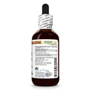 aloe-vera-aloe-vera-dry-leaf-glycerite-m-2.jpg
