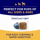 omega-3-fish-oil-for-dogs-skin-coat-supp-6.jpg