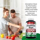 fito-medic-s-dandelion-dandelion-root-ca-3.jpg