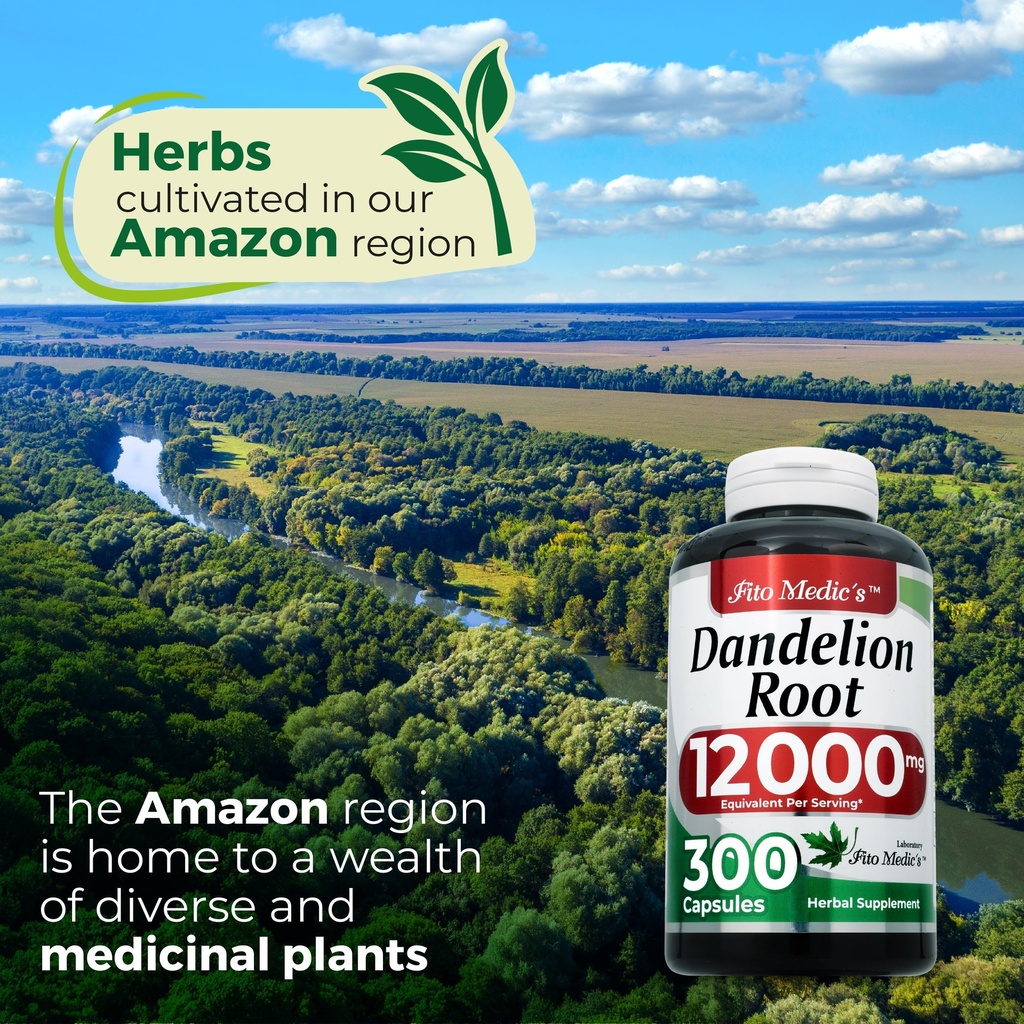 fito-medic-s-dandelion-dandelion-root-ca-6.jpg