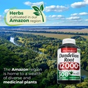 fito-medic-s-dandelion-dandelion-root-ca-6.jpg