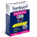 sambucol-cold-and-flu-kids-chewables-24--3.jpg