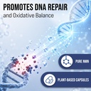nmn-supplement-1000mg-pure-nicotinamide--6.jpg