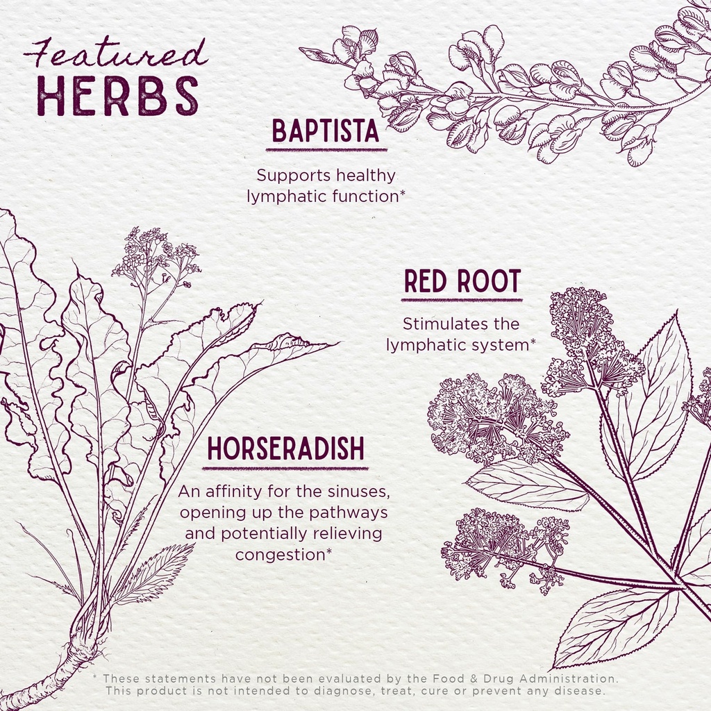 wishgarden-herbs-kick-ass-sinus-congesti-4.jpg