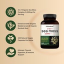 irish-sea-moss-capsules-3000mg-per-servi-3.jpg