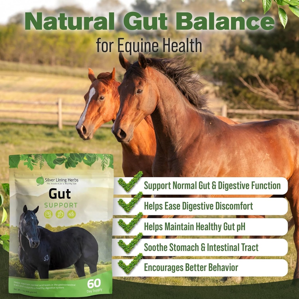 silver-lining-herbs-gut-support-horse-su-2.jpg