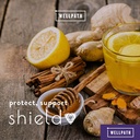 wellpath-shield-elderberry-capsules---5--5.jpg
