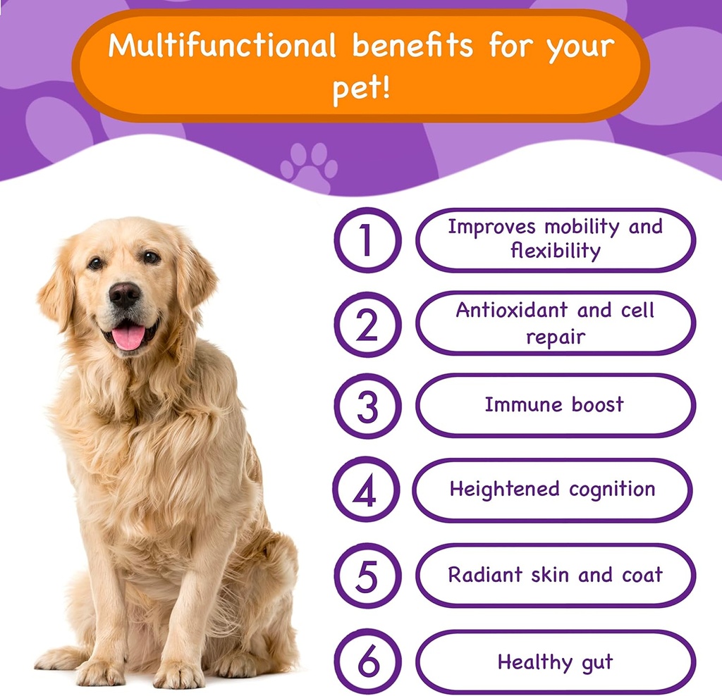 multifunctional-dog-supplements-and-vita-2.jpg