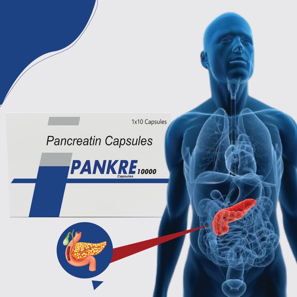 pankre-10000-capsules-pancreatin-enzyme--71K61uoX76L.jpg