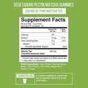 matcha-green-tea-extract-gummy-vitamin-w-4.jpg