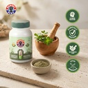 brahmi-veg-capsules-memory-enhancement-s-81S5lJ1rvVL.jpg