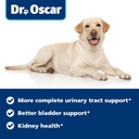 dog-uti-treatment-more-complete-urinary--6.jpg