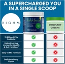 biohm-super-greens-green-superfood-powde-5.jpg