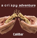 calibar-20g-protein-bar-almond-choco-cri-81nzOv6flFL.jpg