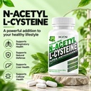 hxn-nac-supplement-n-acetyl-cysteine-glu-71ID29As8QL.jpg