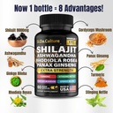 shilajit-ashwagandha-rhodiola-rosea-pana-3.jpg
