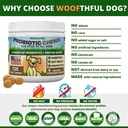probiotics-for-dogs---digestive-health-g-6.jpg