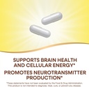 natures-way-choline-inositol-supports-br-4.jpg