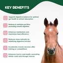 horse-probiotics-80cc-horse-paste-pre-an-2.jpg