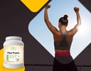 zen-supplements---plant-protein-vanilla--3.jpg