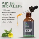 organic-mullein-tincture-drops-for-respi-6.jpg