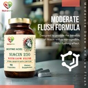 niacin-nicotinic-acid-moderate-dose-low--61kfo3J4iLL.jpg
