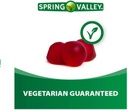 spring-valley-brain-health-vegetarian-gu-3.jpg