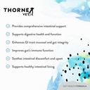 thornevet-gut-health-formula-gastrointes-4.jpg