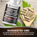 lions-mane-supplement-cognitive-support--5.jpg