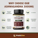 ashwagandha-capsules-3000-mg---120-vegan-3.jpg