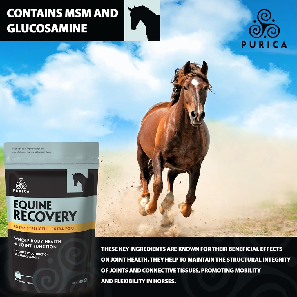 purica-equine-hyaluronic-acid---horse-jo-6.jpg