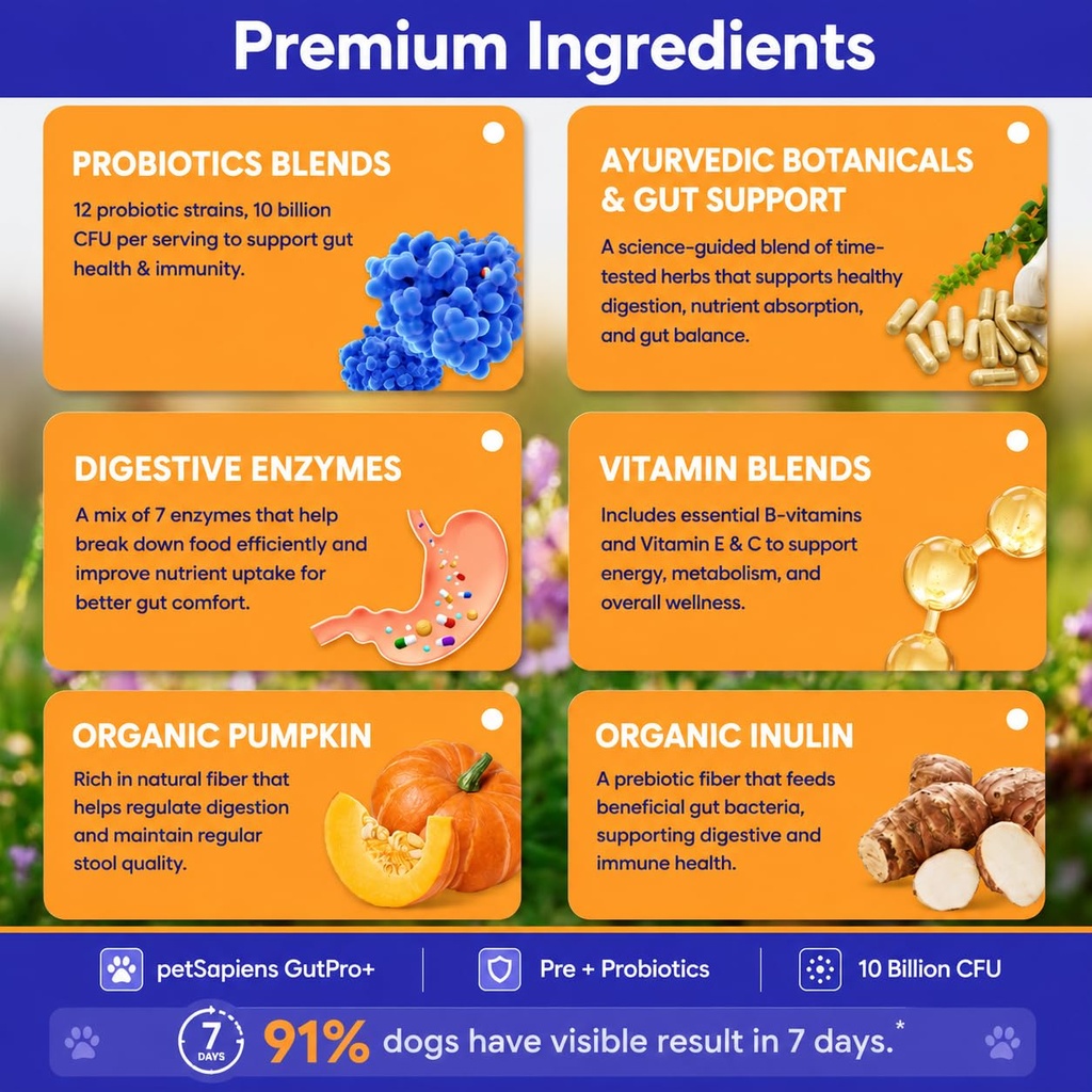 petsapiens-pre-probiotic-supplement-for--71nJN02rQgL.jpg