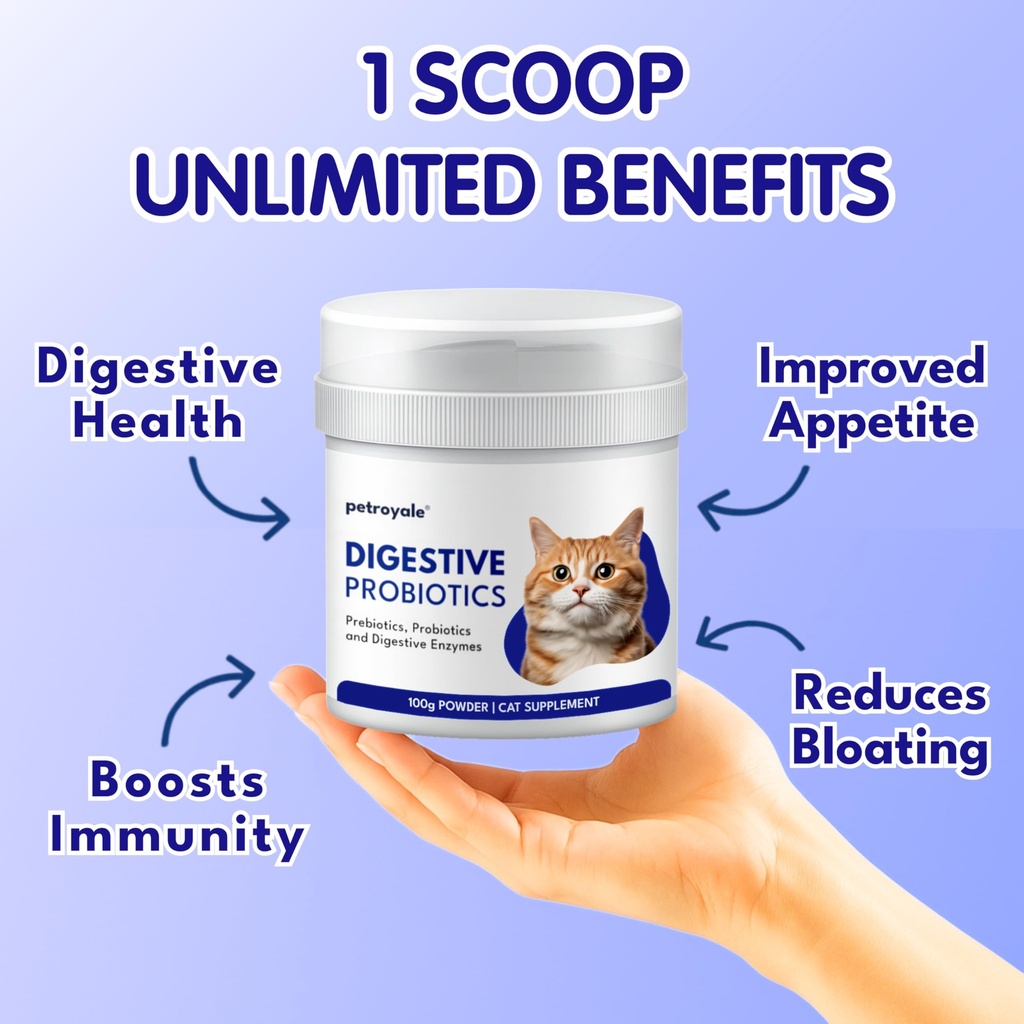 petroyale-cat-digestive-probiotics-cat-p-81QITLZt6bL.jpg