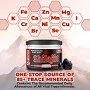 25g-shilajit-pure-himalayan-organic---sh-2.jpg