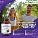 fineland-grape-seed-extract-501-25000mg--5.jpg