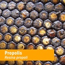 herb-pharm-propolis-extract-for-immune-s-3.jpg