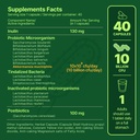 akkermansia-muciniphila-probiotic-postbi-4.jpg