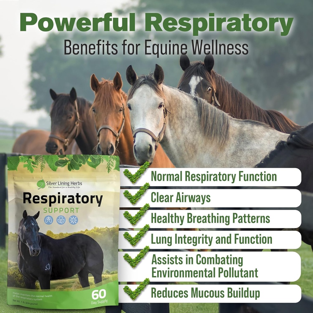 silver-lining-herbs-respiratory-support--2.jpg