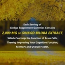 1-pack-2000mg-ginkgo-biloba-gummies---gi-3.jpg